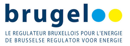Brugel logo