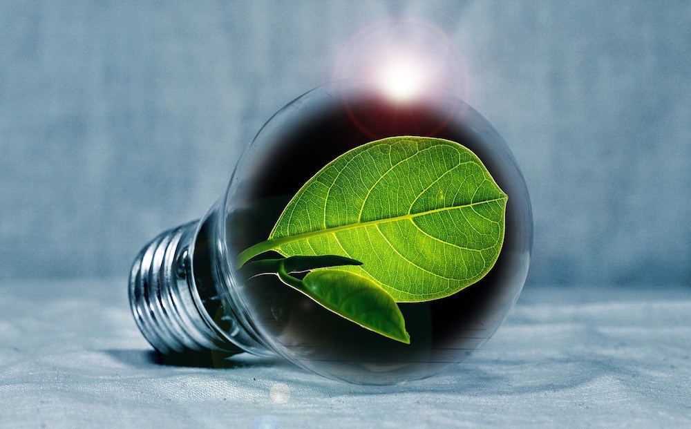 According to Greenpeace, the greenest supplier is...